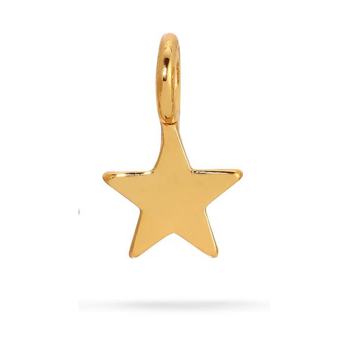 Charm Garden Star Charm-Gold