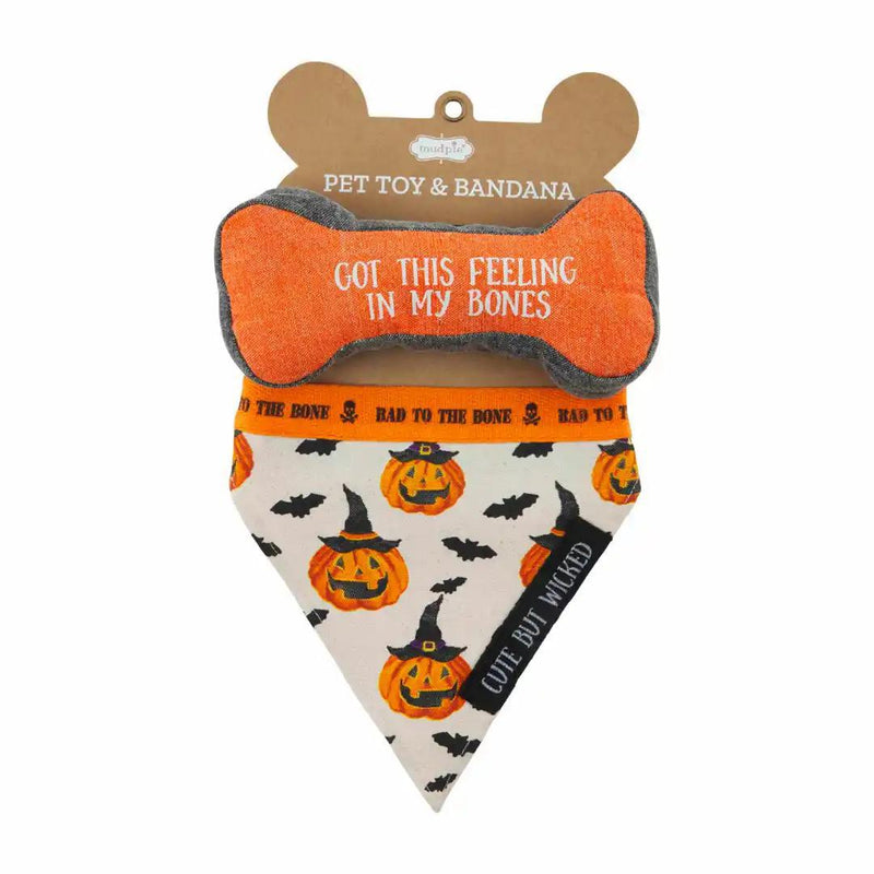 Dog Bandana & Bone Set