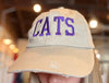 Collegiate Embroidered Vintage Varsity Hats
